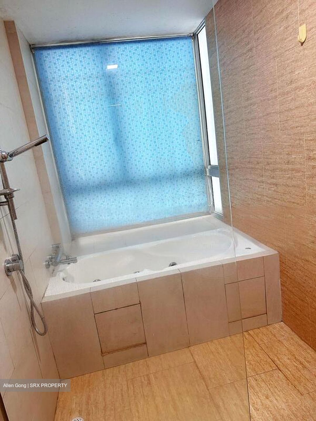 Clover By The Park (D20), Condominium #478916101